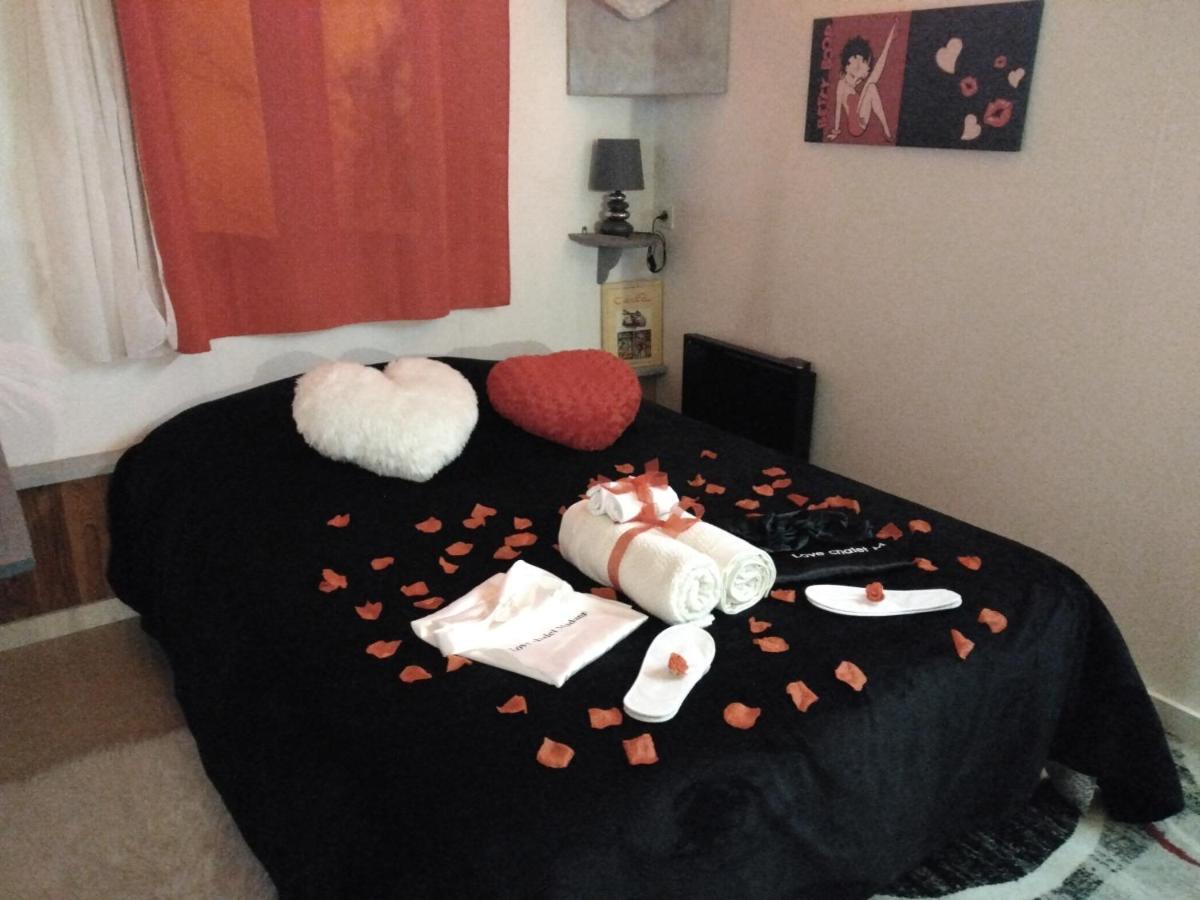 Le Love Chalet Des Alpes 吉耶斯特尔 外观 照片