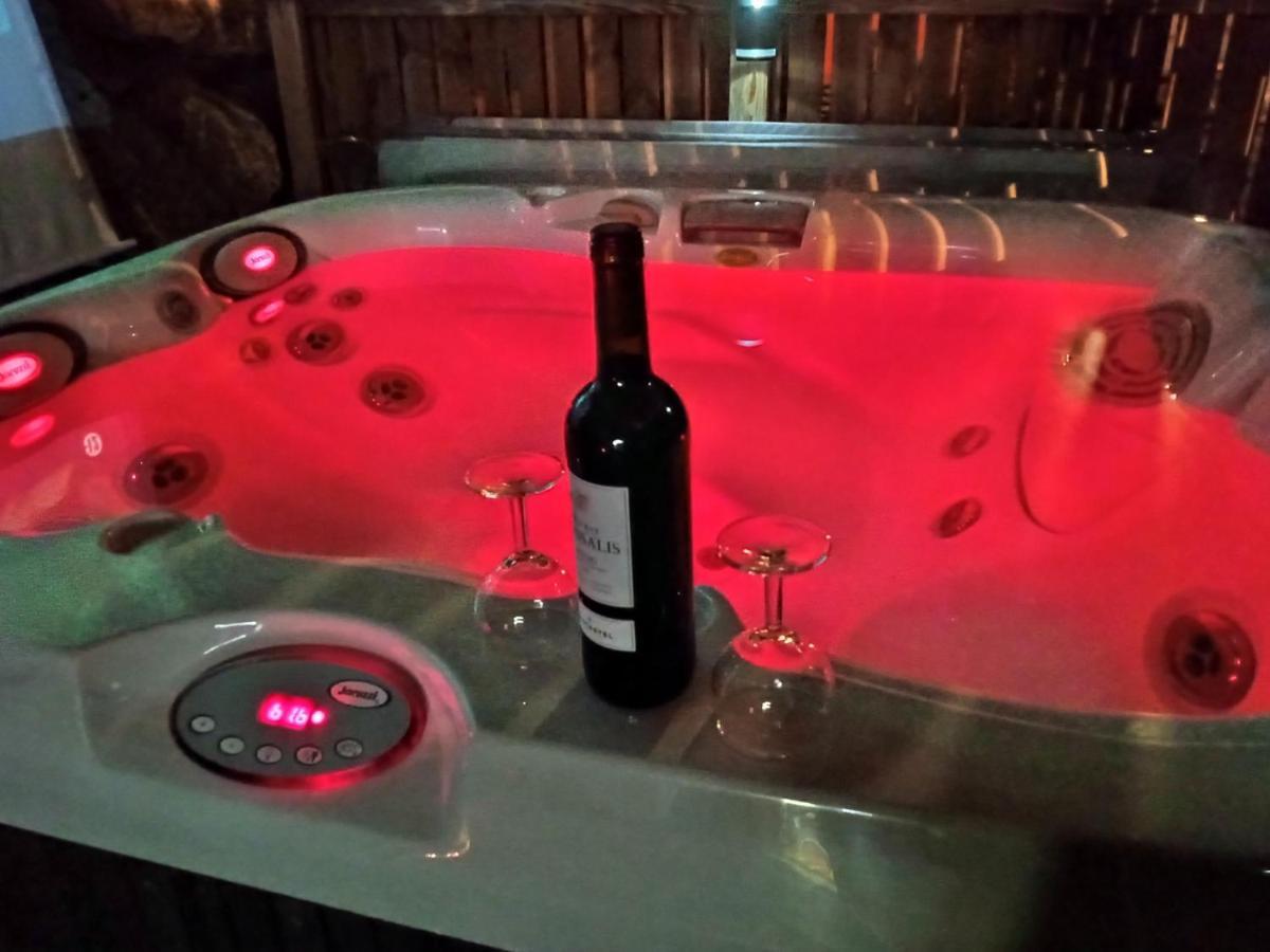 Le Love Chalet Des Alpes 吉耶斯特尔 外观 照片
